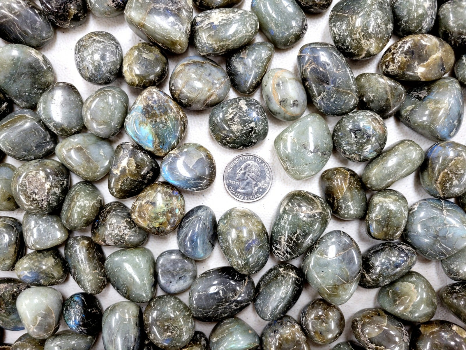 Tumbled Labradorite Crystal Stones – 3/4 inch to 1.5 inch – Bulk Natural Gems