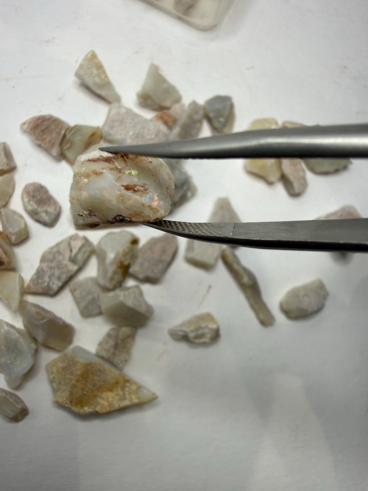 Lot Of Natural Australian Opals Multicolor Flash 26g Total With Plastic Case