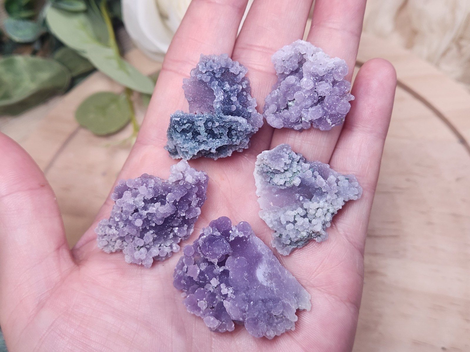 46g Grape Agate Lot West Sulawesi Indonesia Druzy Botryoidal Chalcedony 5 Pieces