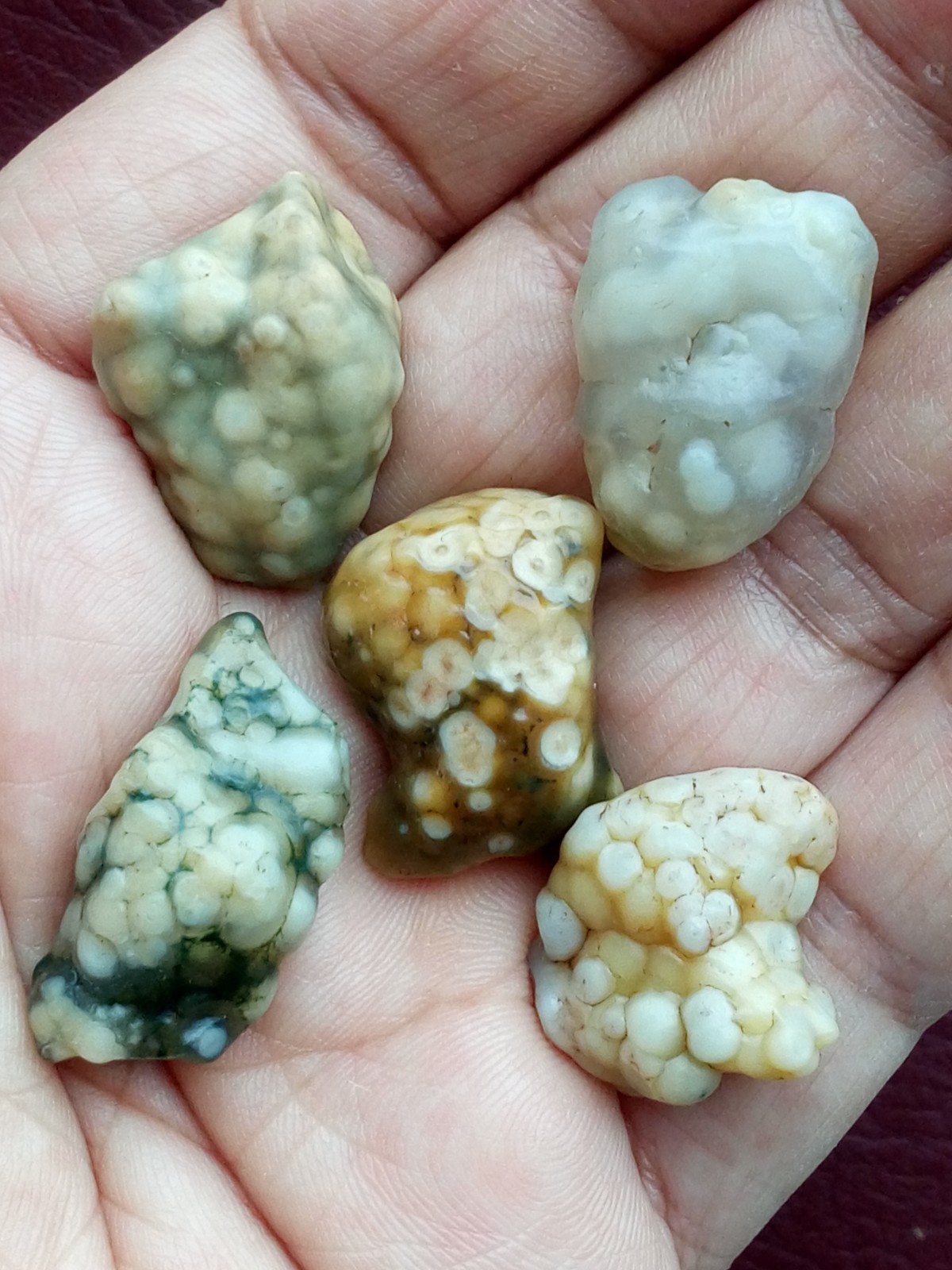 5 pieces Beautiful Natural GoBi agate collection