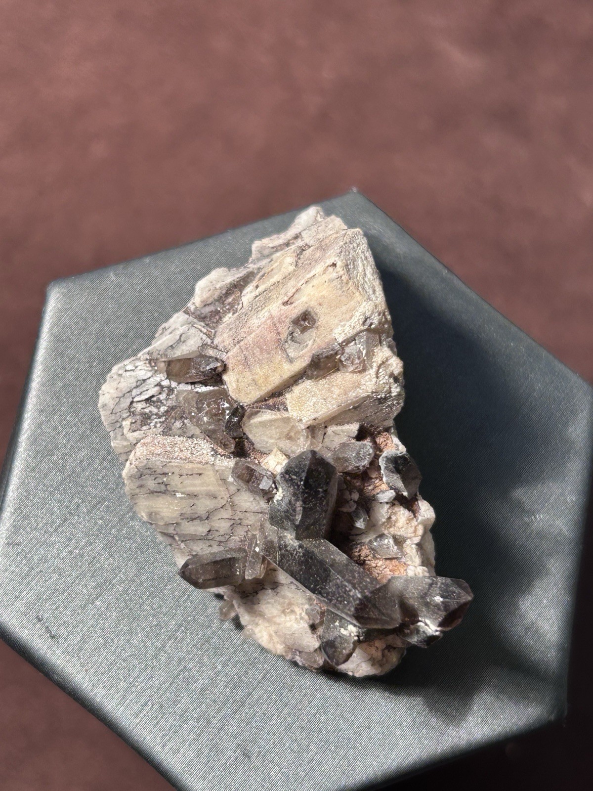 Smoky Quartz on Microcline Colorado Crystal Lined Pocket Miniature Mineral
