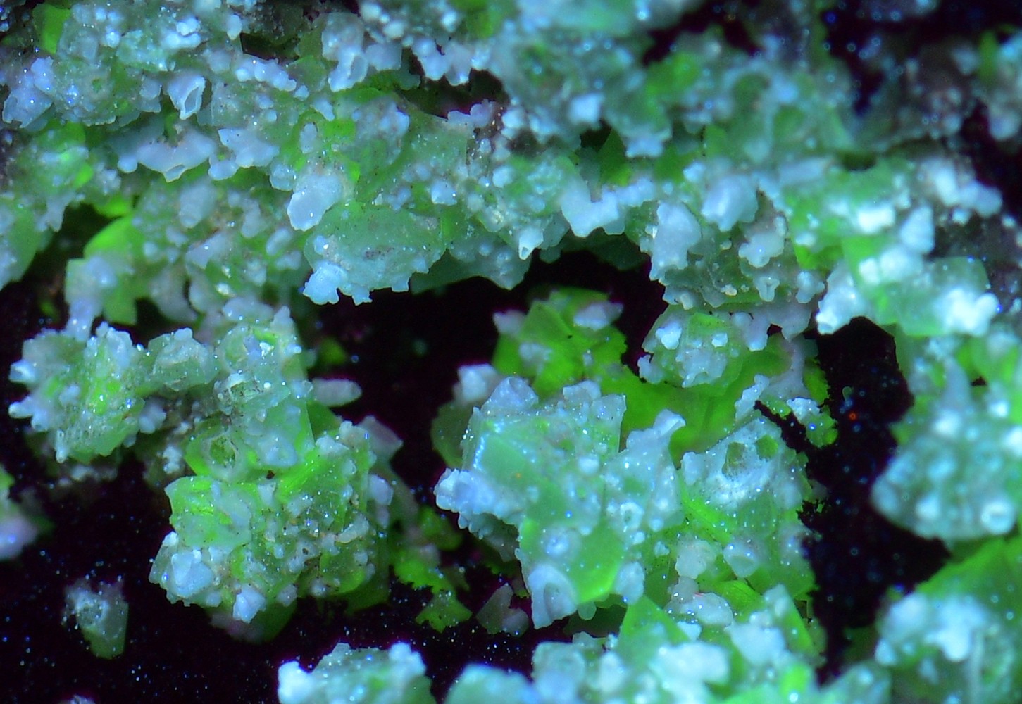 Fluorescent Adamite, Smithsonite on Limonite. Ojuela Mine, Mexico. 163 grams.