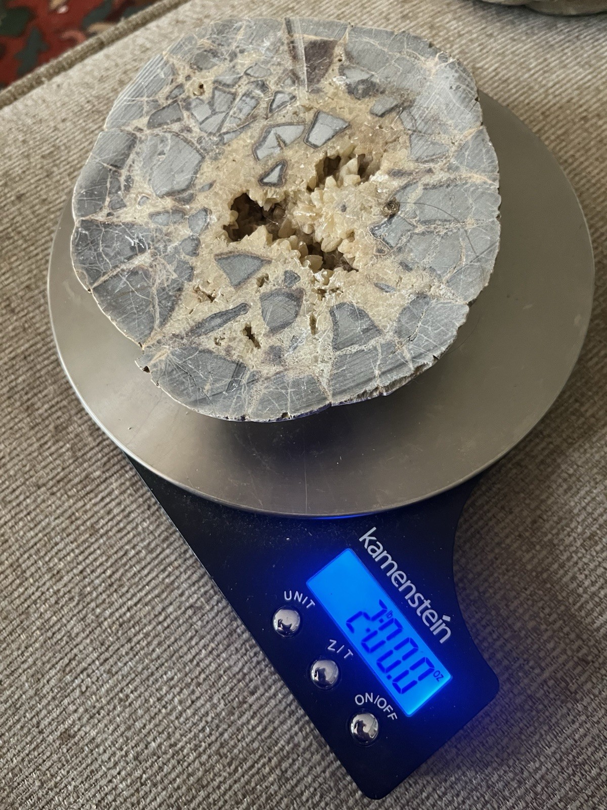 Larger Cut SEPTARIAN Nodule Half With a Lightning Like Pattern! Utah 2 Lbs