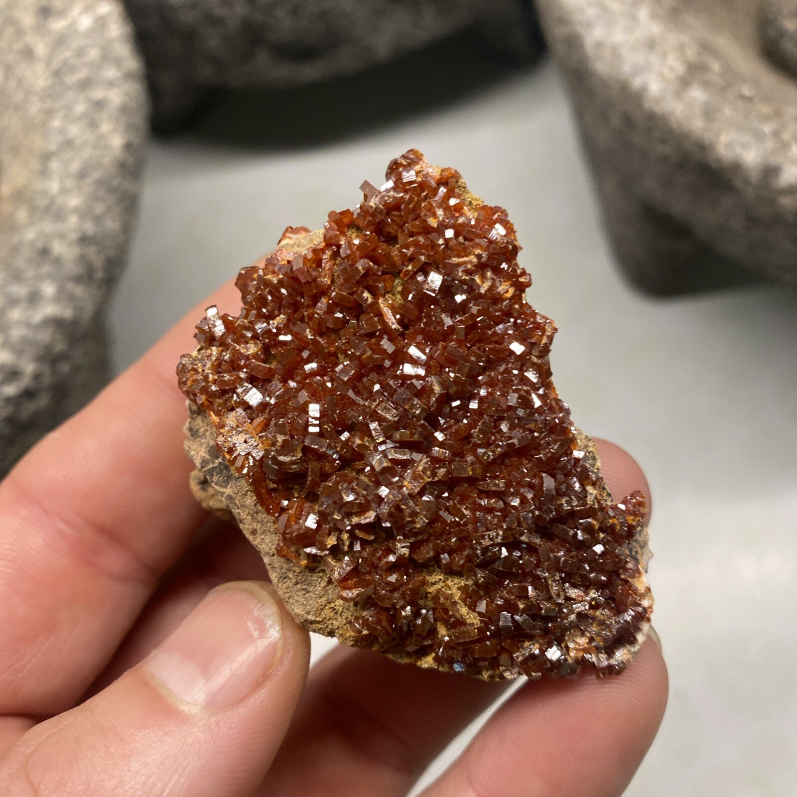 MLC 2 1/8 66g Red VANADINITE Crystals on Matrix Rock Mibladen, Morocco Mineral 2