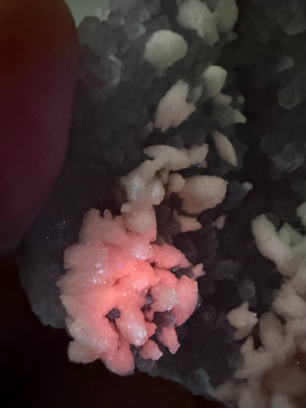 Attn Collectors! Amethyst with Snow White Calcite from Guanajuato, Mexico- RARE!