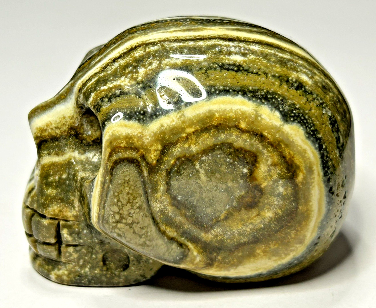 Banded Jasper Skull – Green Brown Yellow White 175g/2.3″