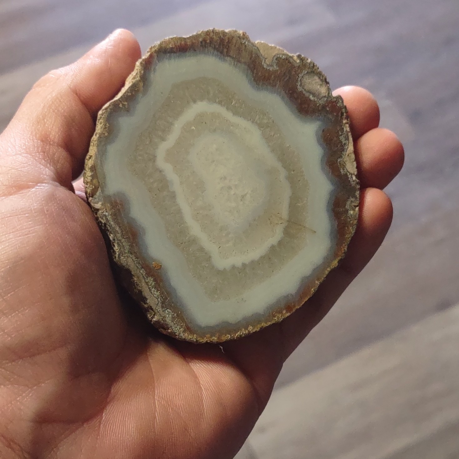 Geode Mineral Specimen Display Polished Slice with White and Brown Bands