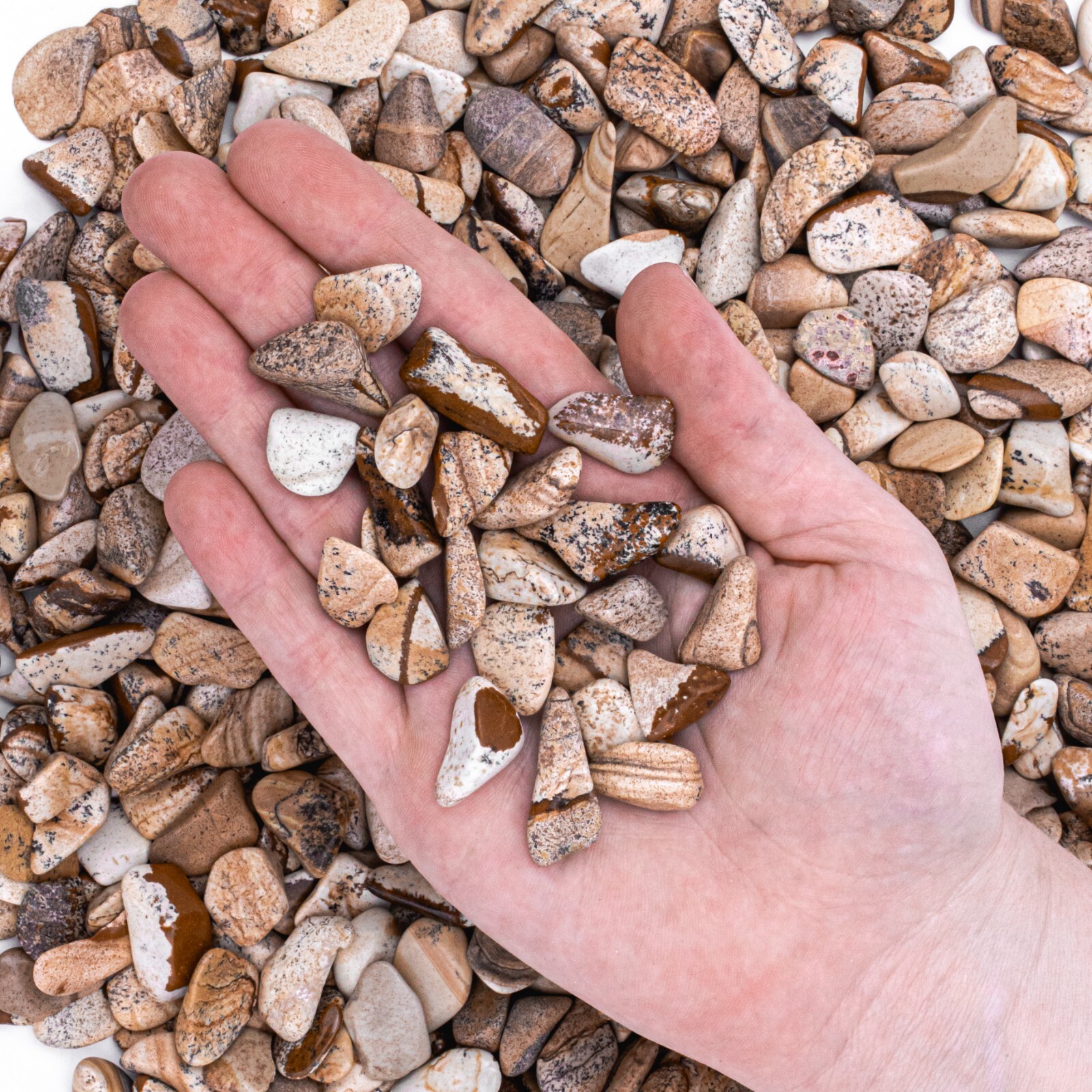 1 lb Tumbled Gemstone Collection Sodalite Picture Jasper Petrified Wood Bulk Gem
