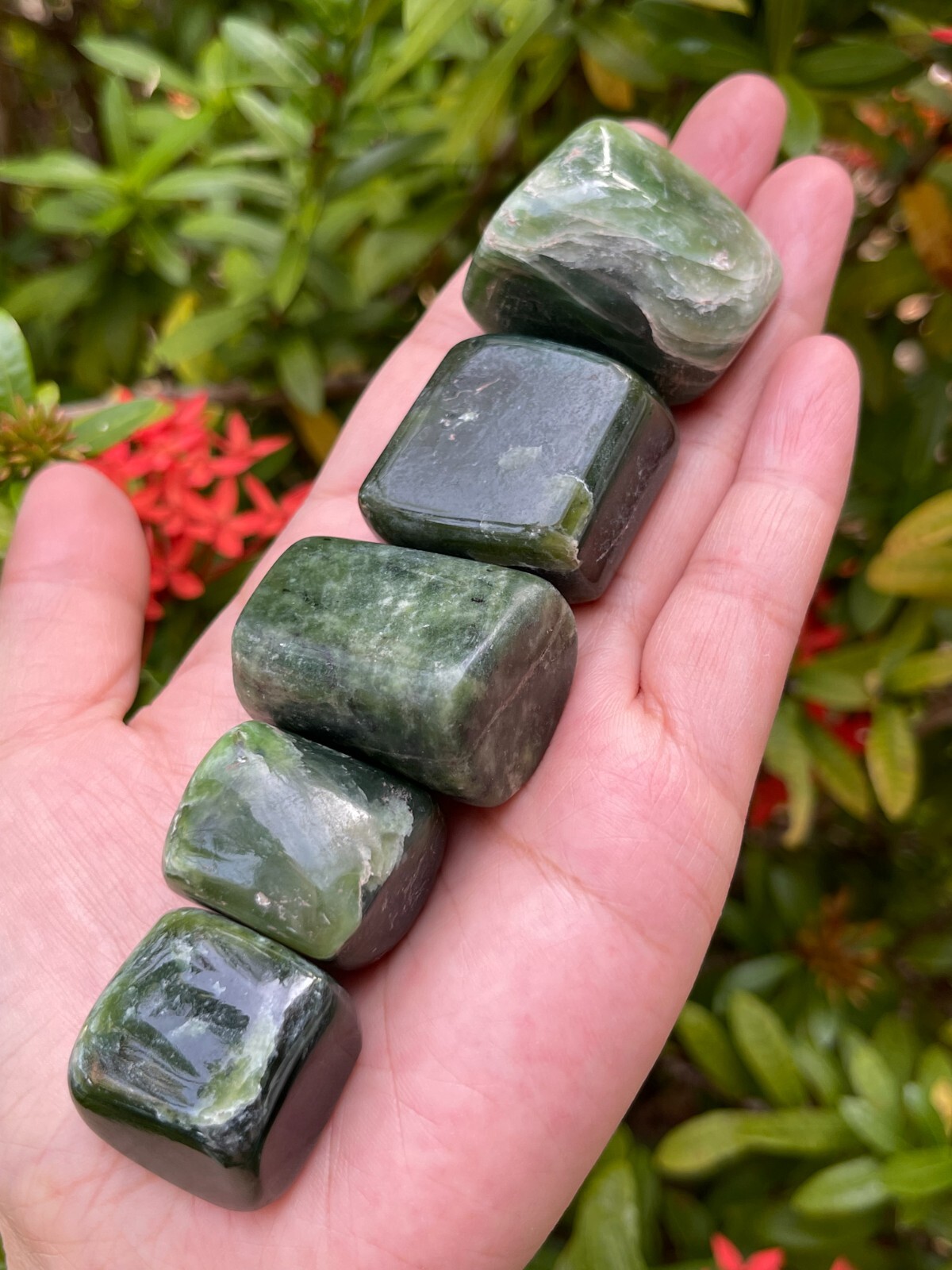 Nephrite Jade Tumbled Stones, 1-1.5 Inch Nephrite Jade Crystals, Healing Crystal