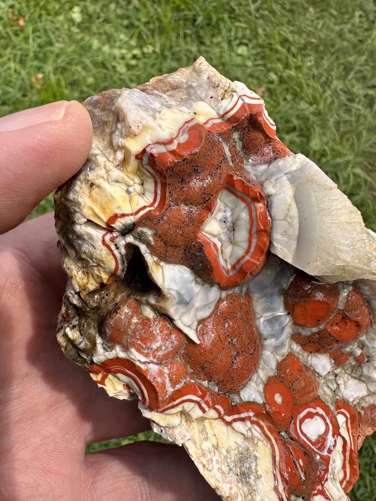 Large Natural Rare Kentucky Agate Rough from Estill County