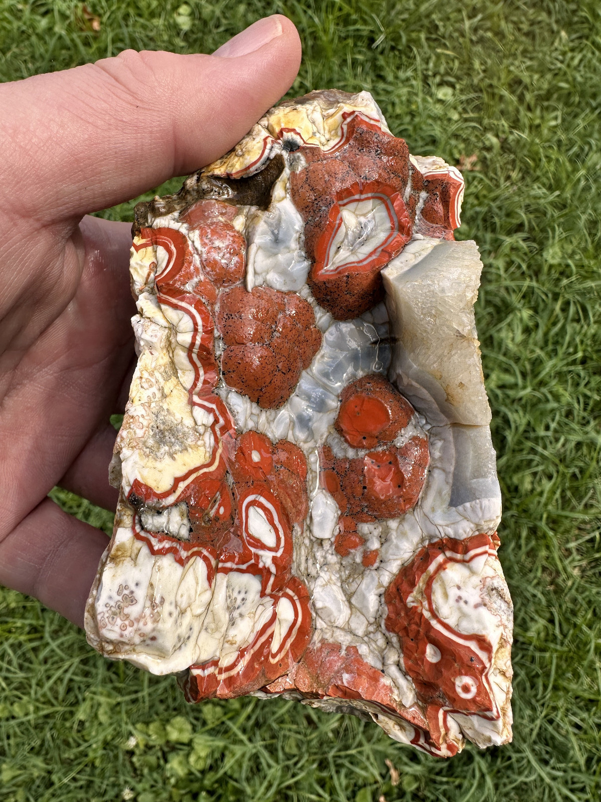 Large Natural Rare Kentucky Agate Rough from Estill County