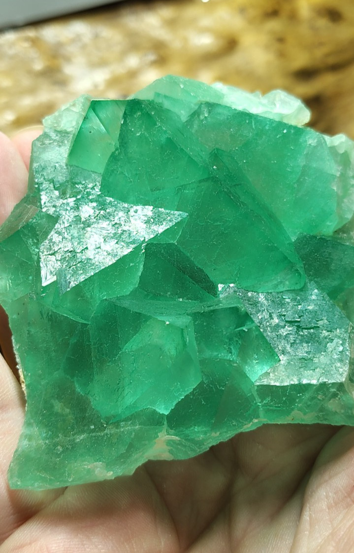 GREEN FLUORITE OCTAHEDRONS CLUSTER TOP CLASS Riemvasmaak South Africa