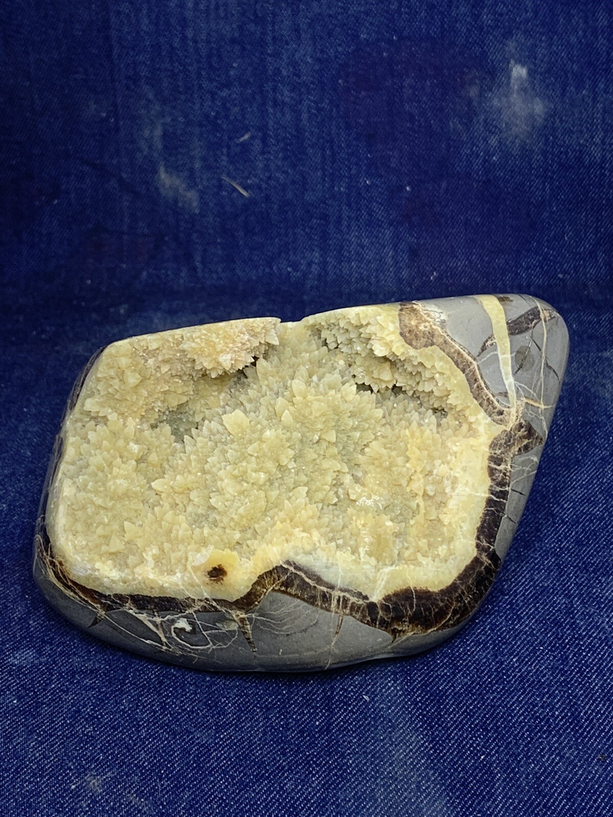 Septarian Nodule Freeform ( Utah)with Description Card