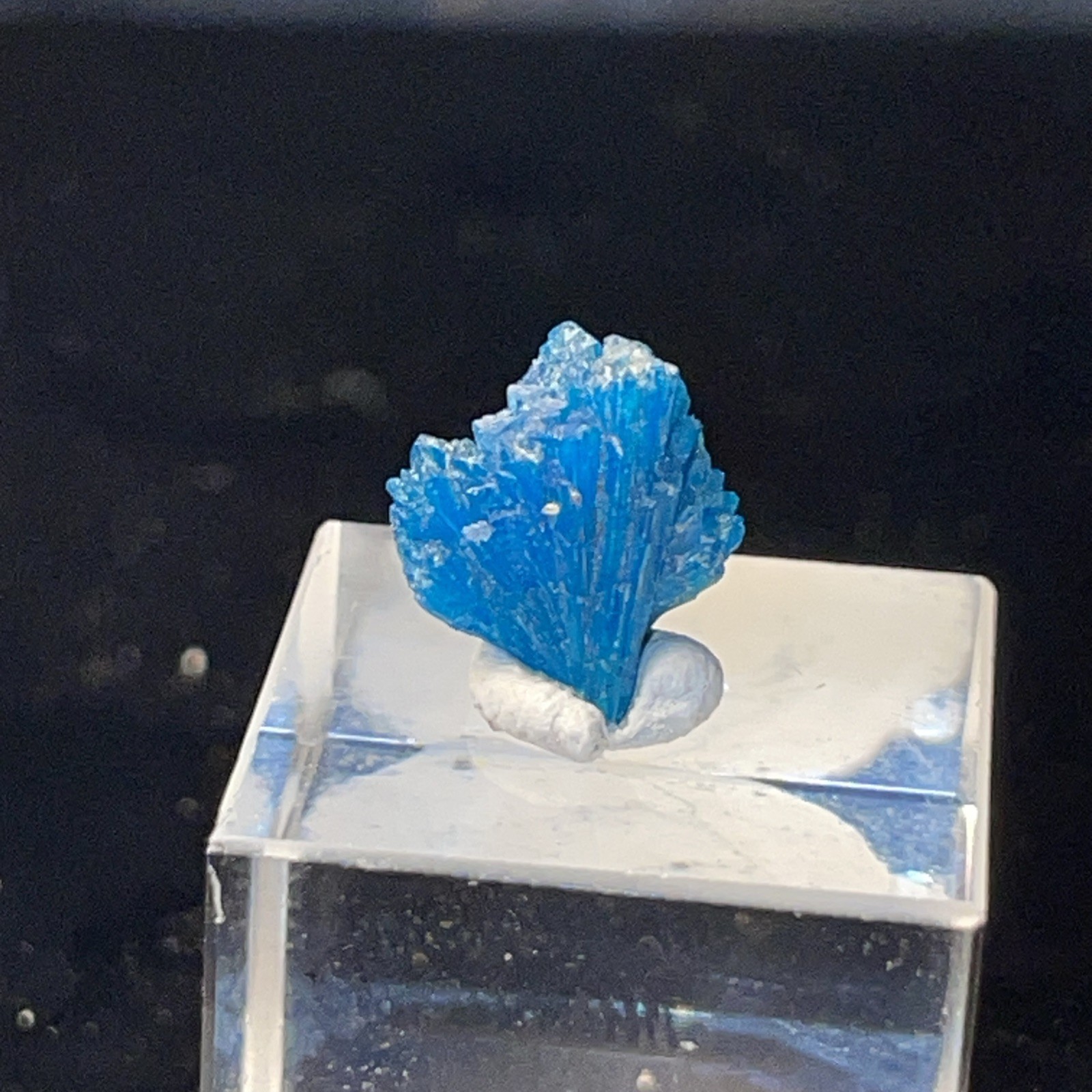 VIVID BLUE MICROMOUNT/THUMBNAIL CAVANSITE CRYSTAL PUNE DISTRICT,INDIA