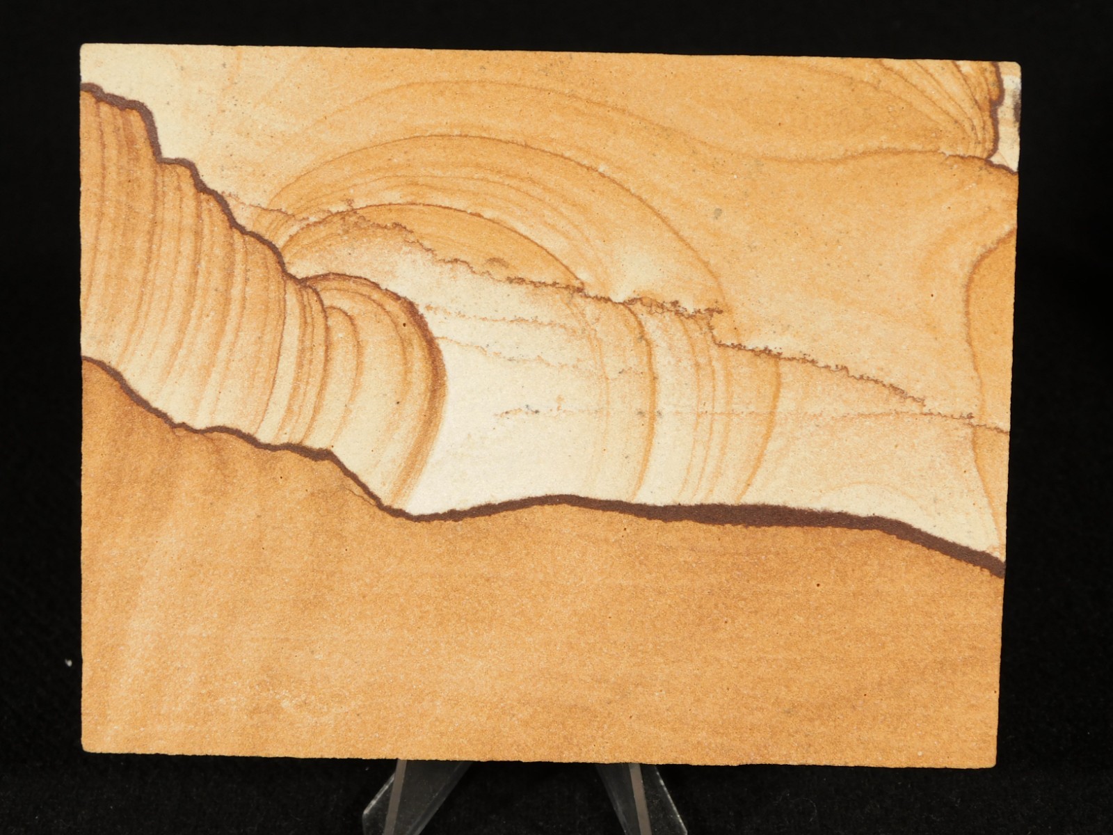 PICTURE Stone or SANDSTONE Slab with Display Stand From Utah 260gr