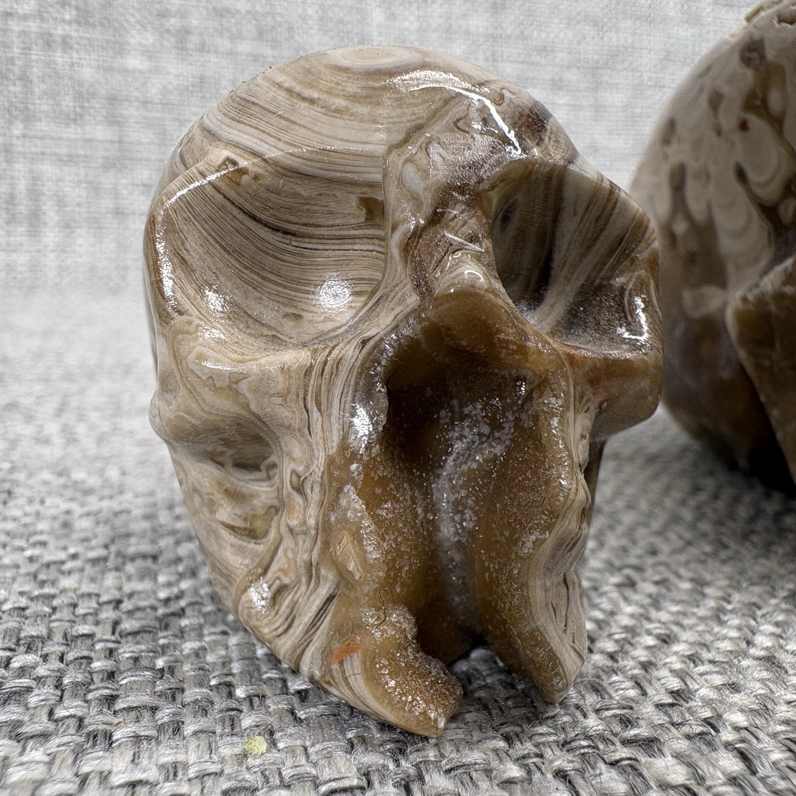 Amber Agate Crystal Skull Set 3pc Druzy Hand Carved Polished Stone Brown