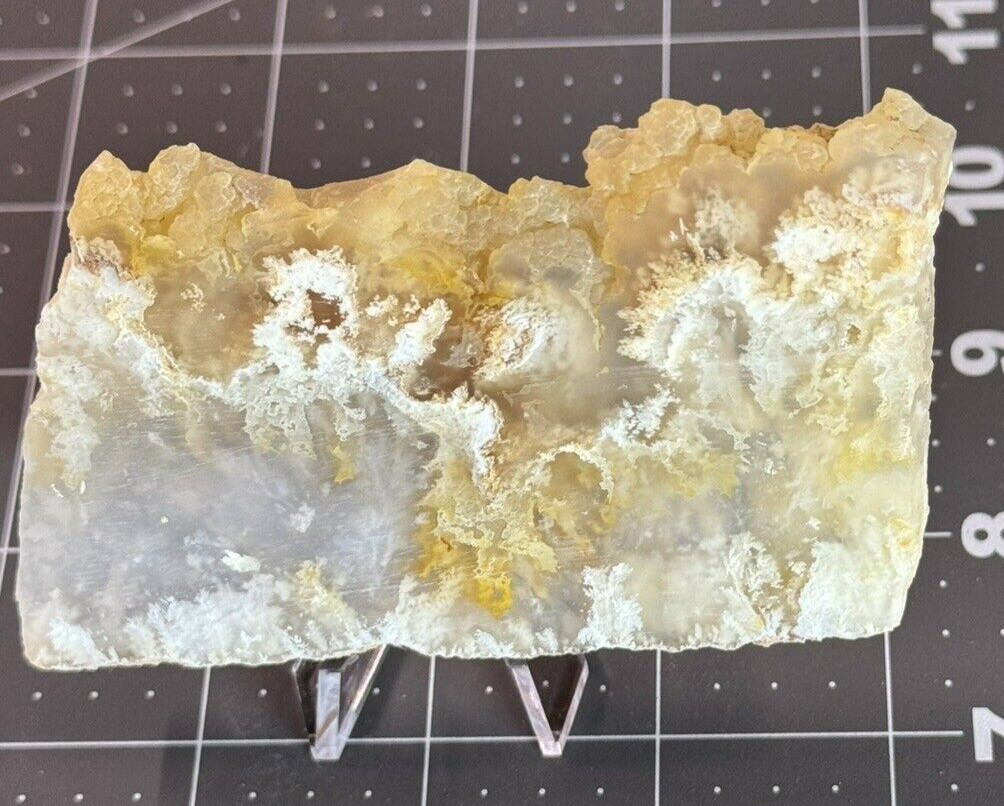 Graveyard Point Plume Agate Polished Display – Collectors Slab