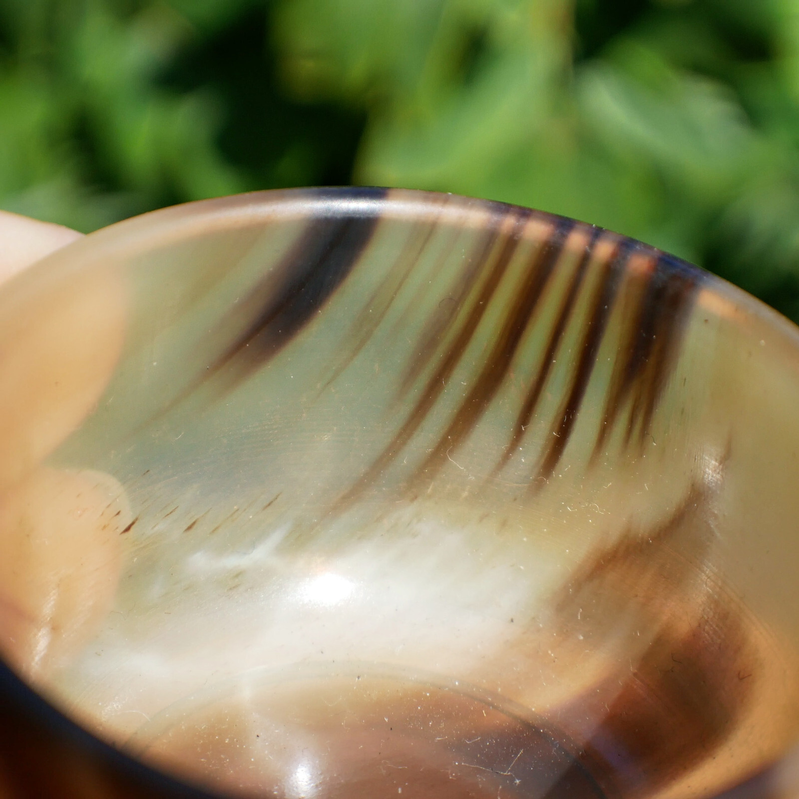 Natural Ox Horn Bowl Gemstone Crystal Quartz Dish Healing Sacral Chakra Reiki 1p