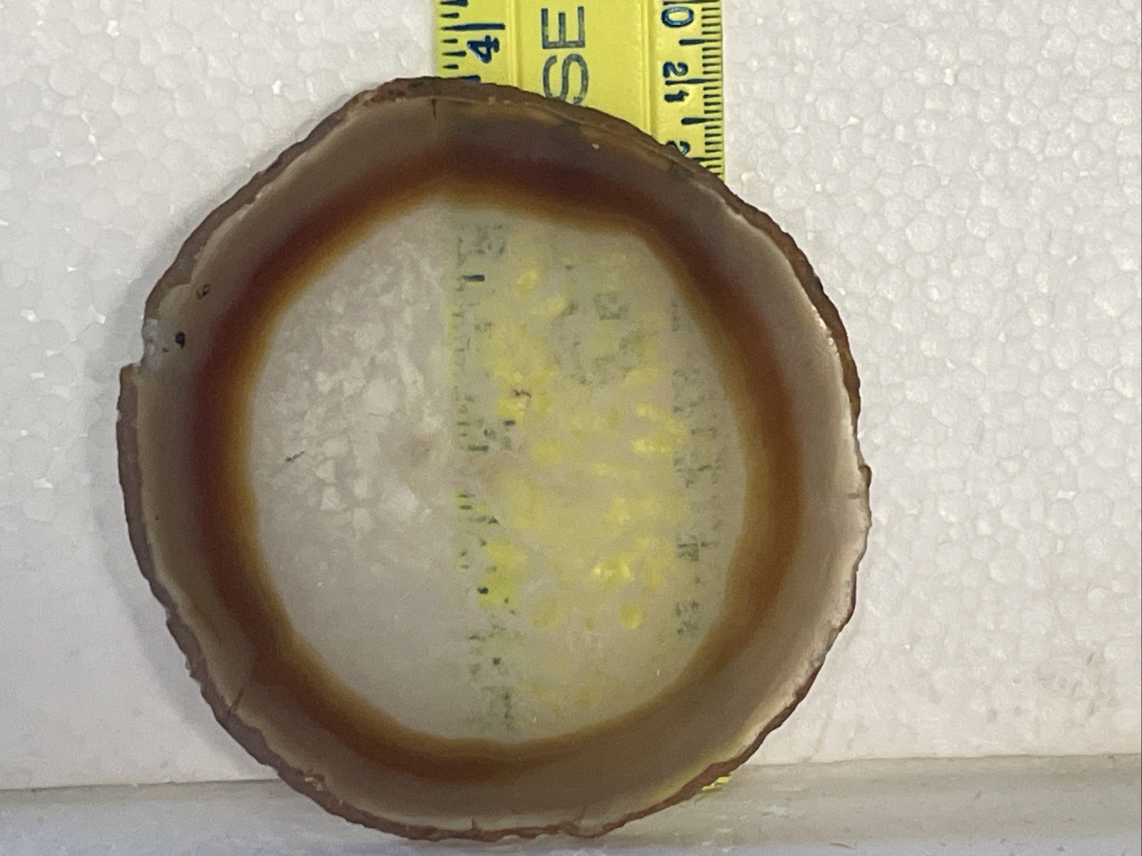 BEAUTIFUL Polished Agate Slice Round Slab BROWN WHITE AND CLEAR Stone
