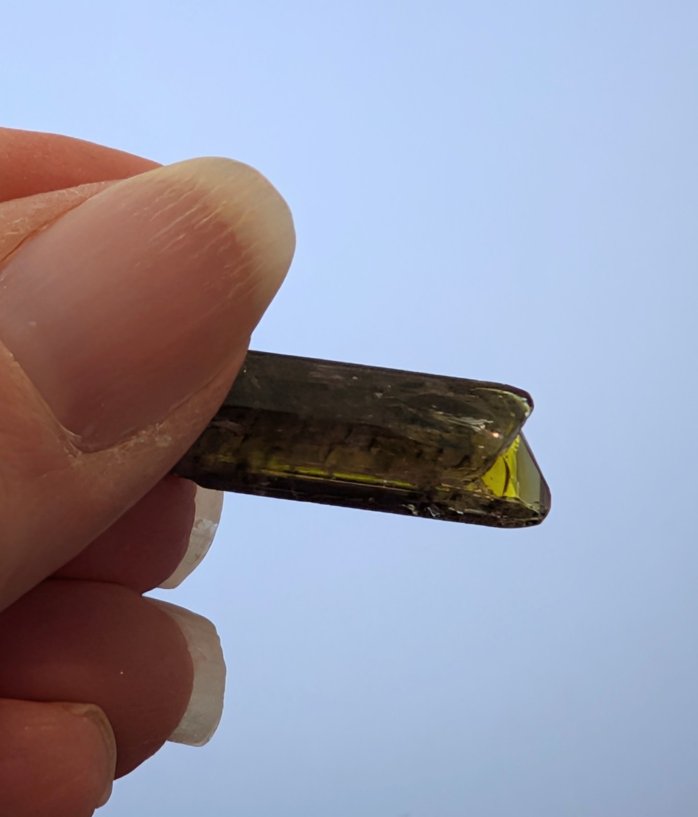 24.4 ct Natural Tanzanite Crystal – Strong Pleo Blue/Purple/Green – Unheated
