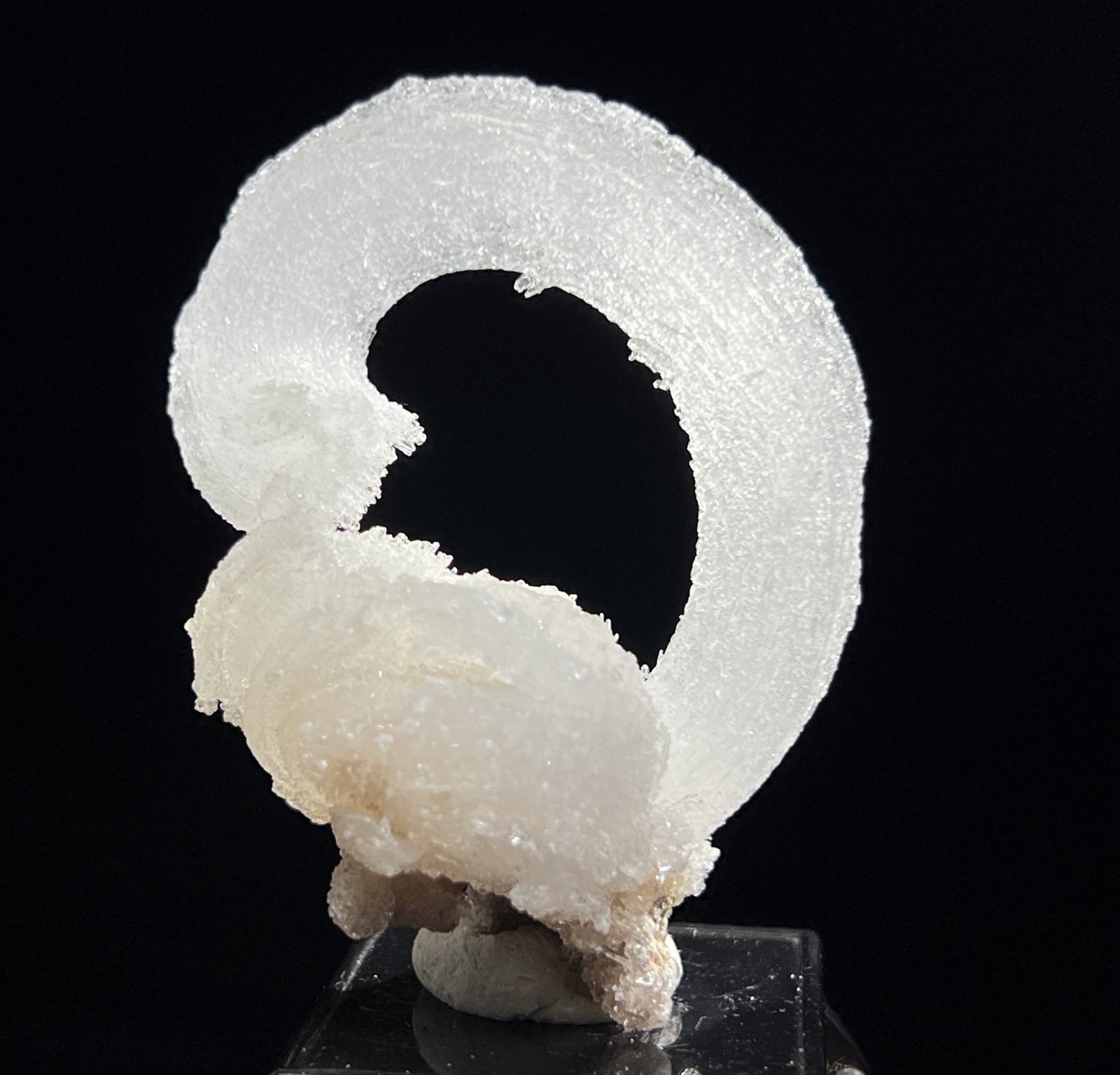 61mm 32g ‘Ram’s Horn’ shape Selenite (Gypsum), Natural Mineral Specimen