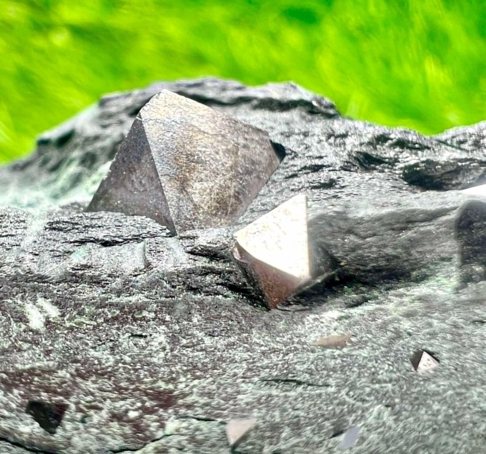 123 GM Magnetite Crystals On Matrix From Skardu Pakistan
