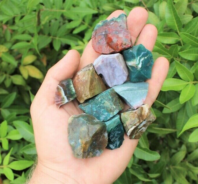 3Pcs Natural Raw Rough Ocean Jasper Healing Rough Chunks Mineral Specimens