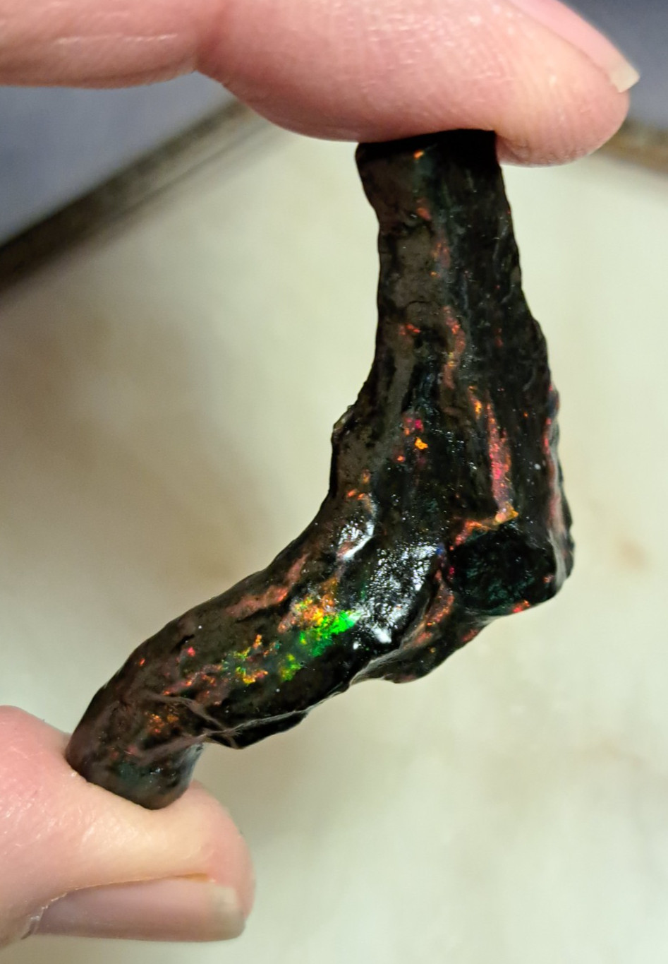 Huge Multicolor 38.52ct Indonesian Wood Opal Fossil Red, Green, & Yellow Flashes