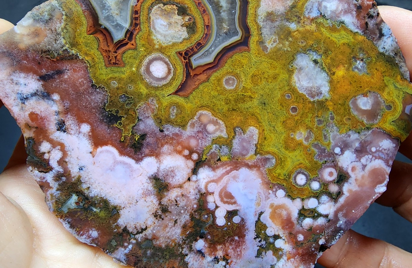 18.48 oz ( 524 gr) Multicolor Agate Slab, Collectible Agate, Unpolished Agate
