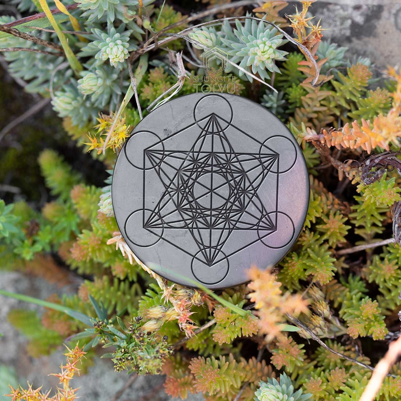 Shungite Rock Round Plate “Metatron” Sticker Authentic Shungite Stone, Tolvu