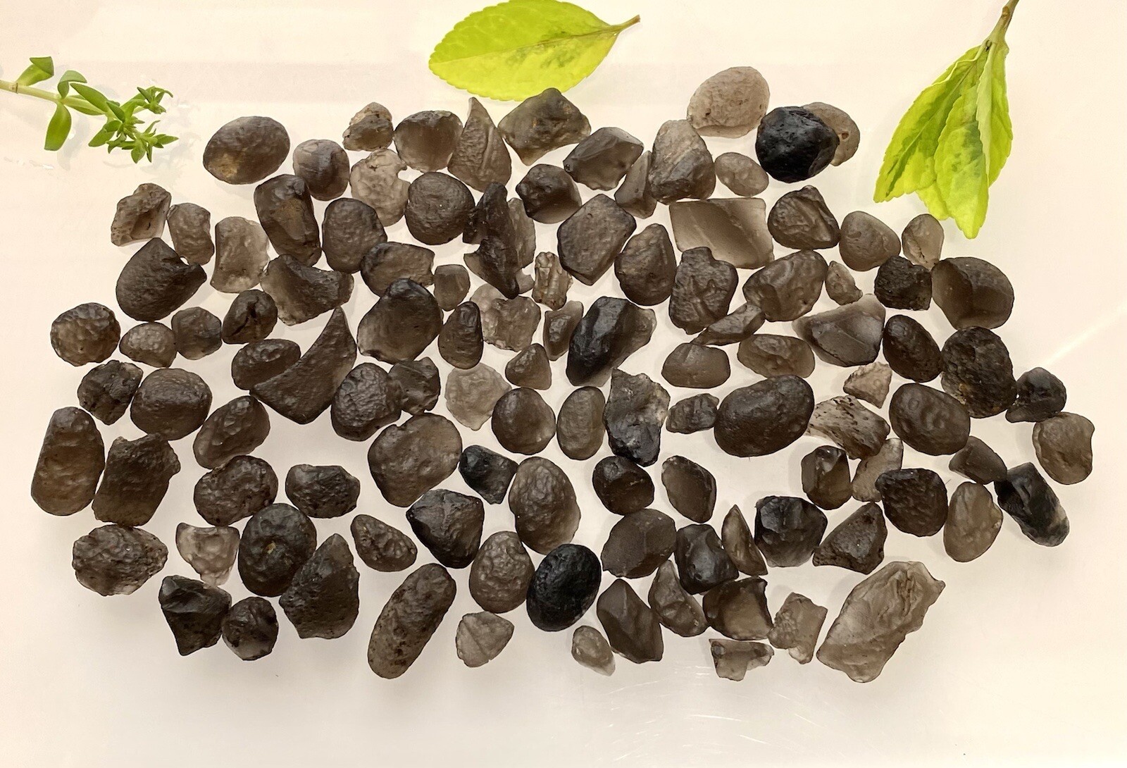 Wholesale Lot Natural Colombianite Colombian Tektite 40 Gram 16 To 24 PCs