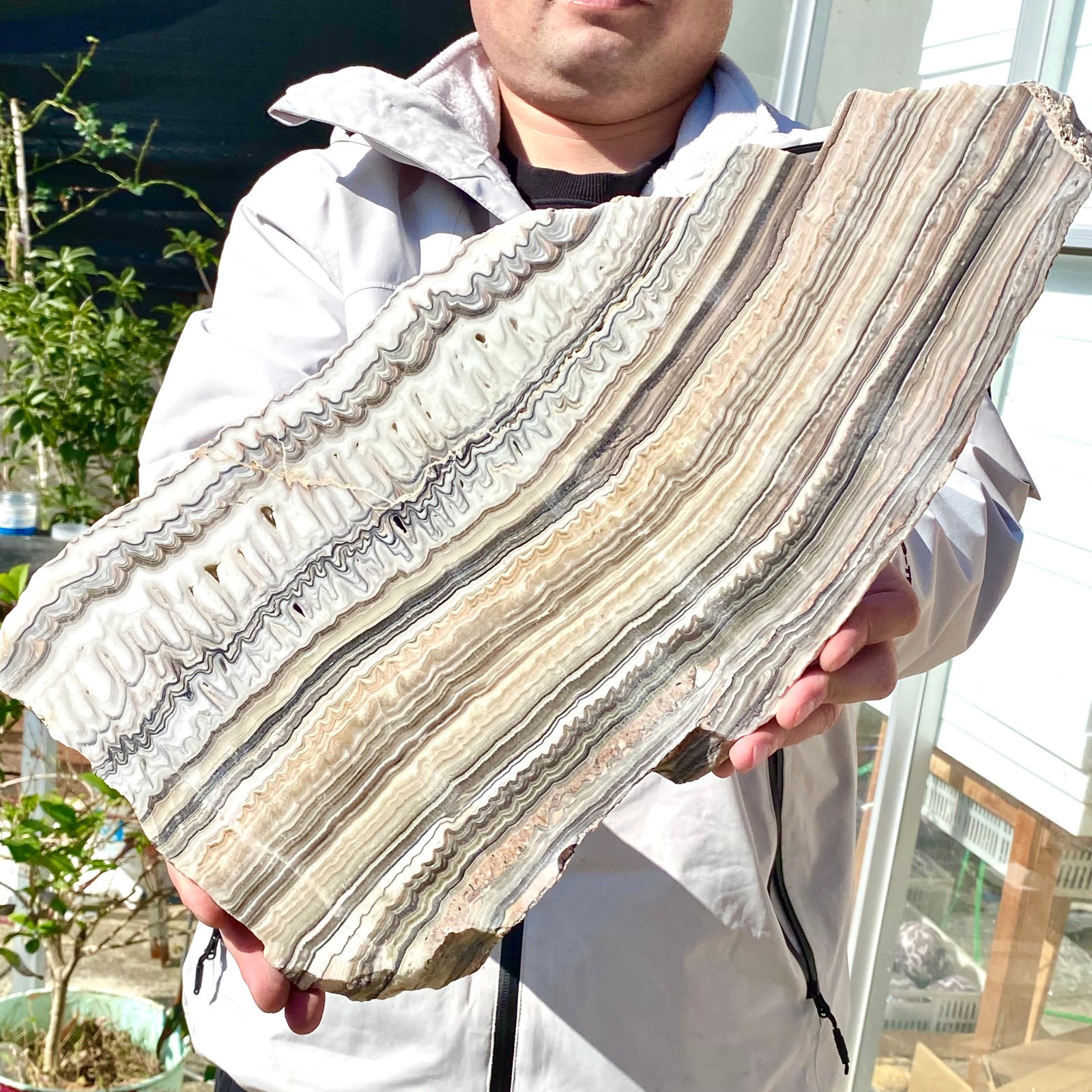 6LB Natural agate, zebra stone, crystal mineral, cut and polished in flakes