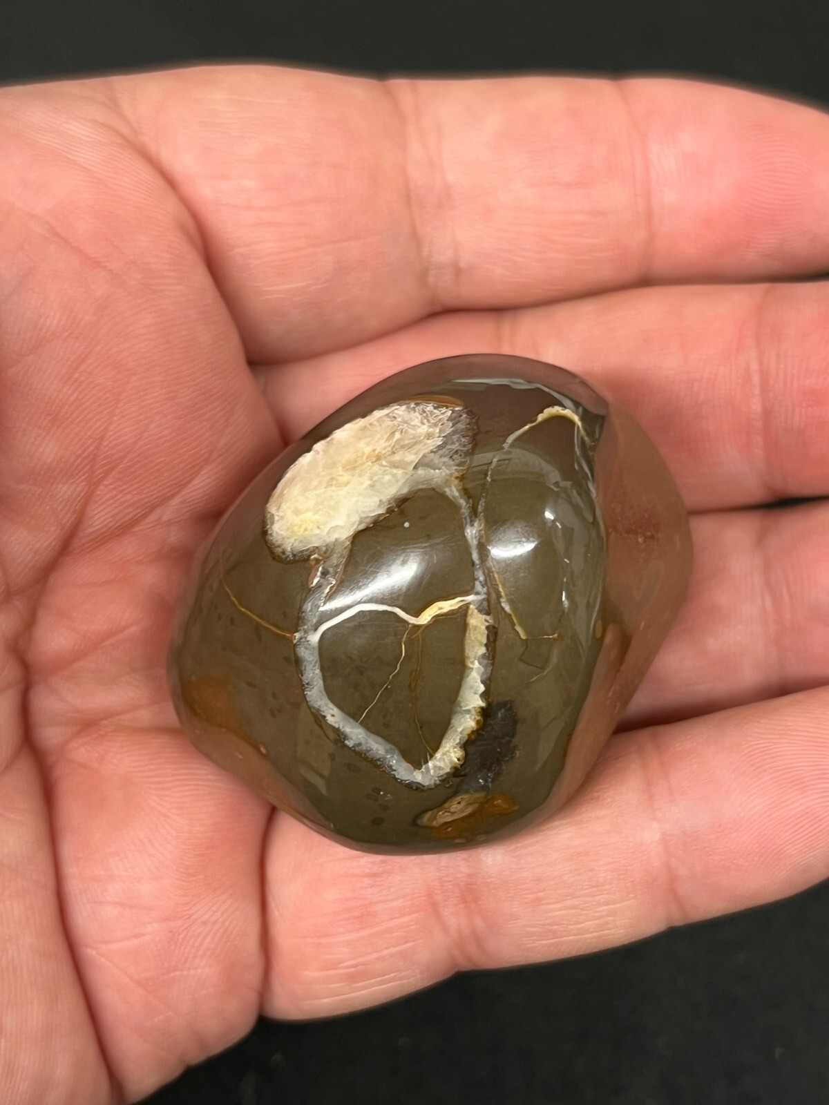 Septarian Lightning Stone Polished Michigan