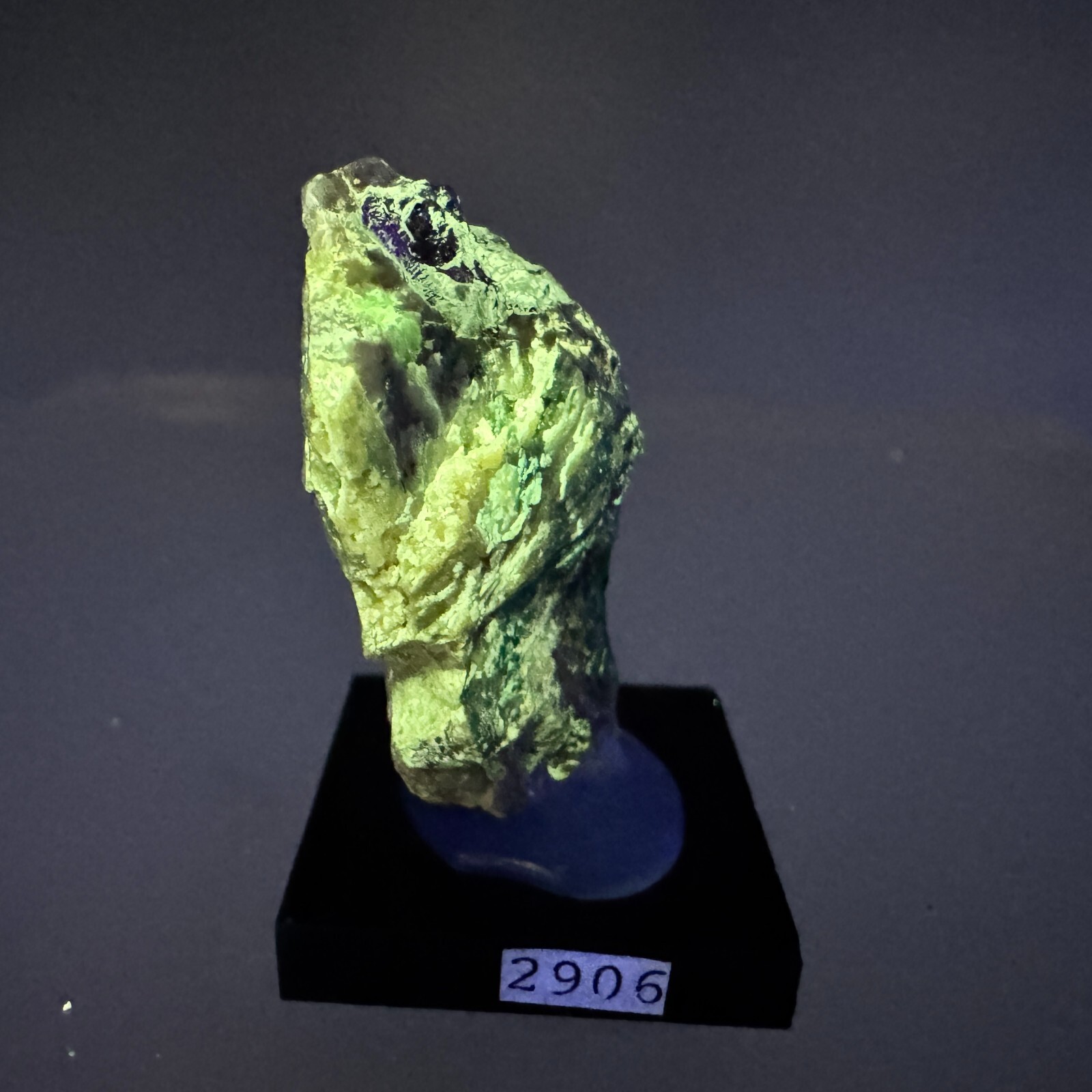 Powellite: Jardinera No. 1 Mine, Atacama, Chile- Rare!