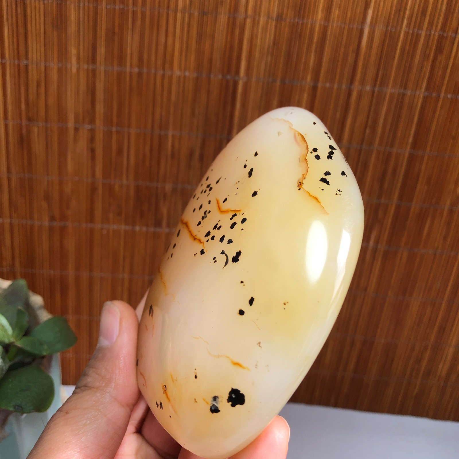 Natural aquatic plants agate pretty Crystal specimens free standing 288g A1487