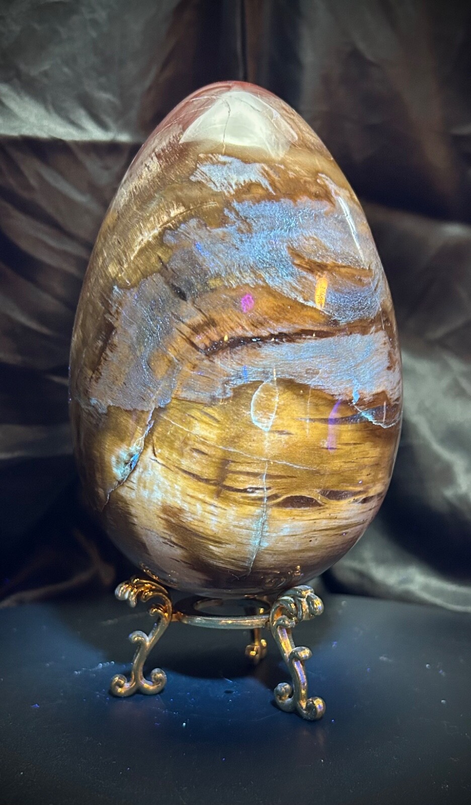 5lb 4.2oz Petrified Wood Egg with Metal Stand