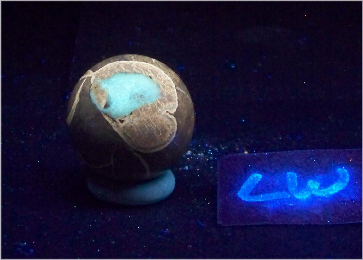 Fluorescent Septarian Nodule Piece 29mm Sphere for UV Collection 6295