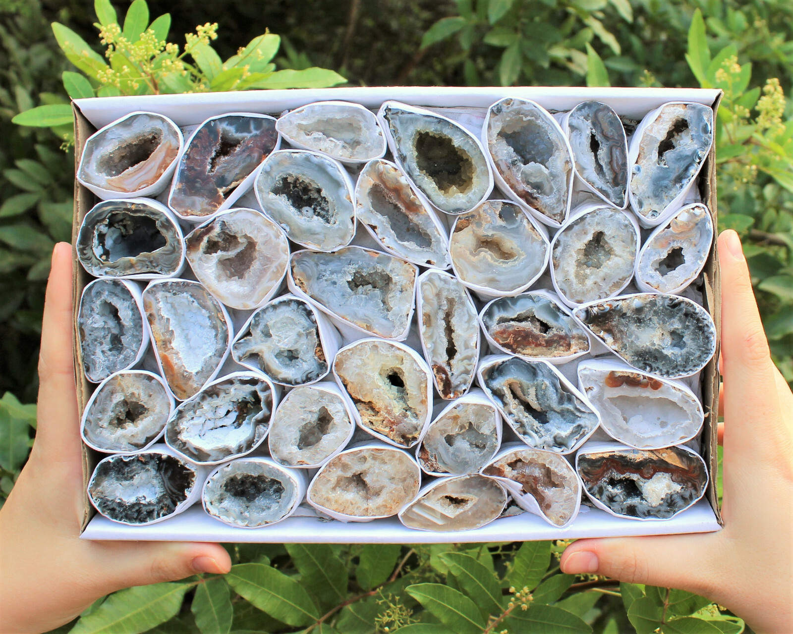 Small Oco Agate Geodes, Natural Crystal Druzy Halves, Bulk Wholesale Lots!