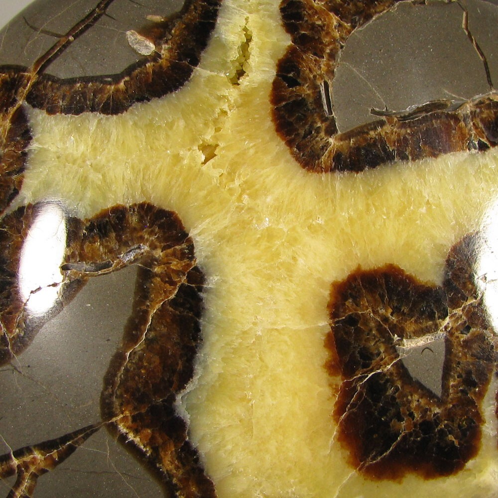 3.8″ SEPTARIAN Turtleback Polished Geode End Slab – Utah