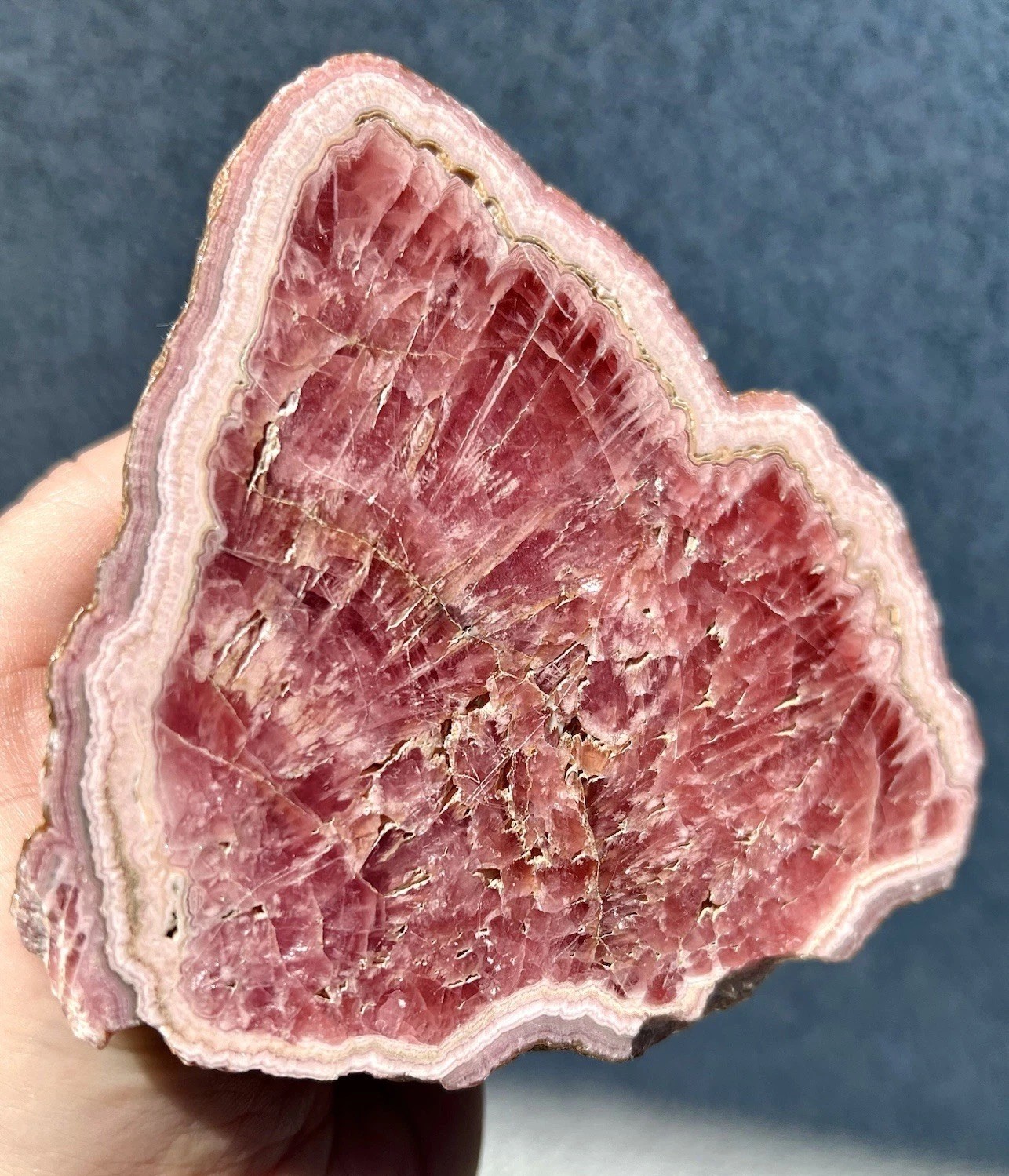2.0 Pound: Rhodochrosite Radial Scalenohedral Ortiz Crystal Capillitas Argentina
