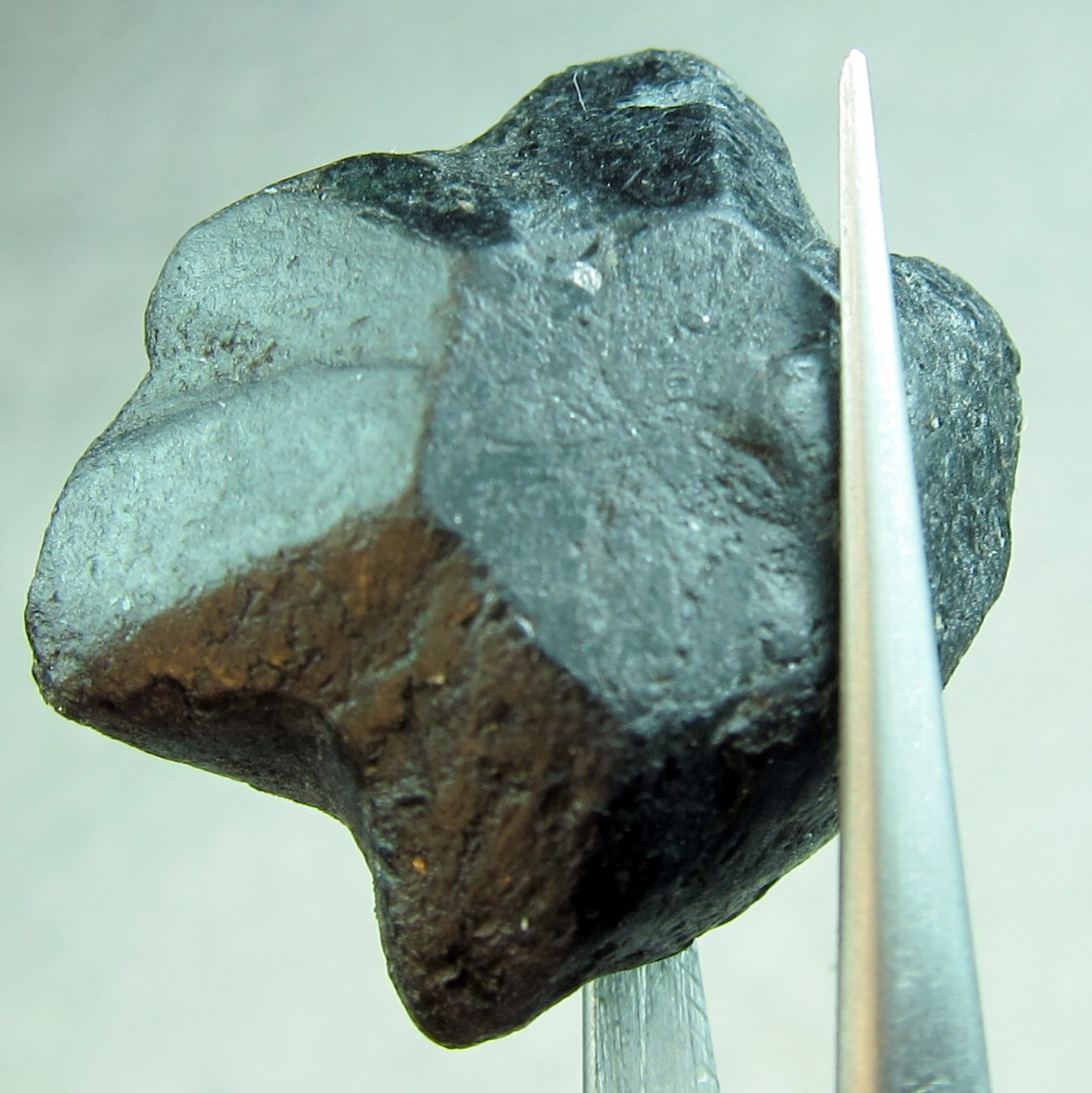 64.2 CT ALEXANDRITE NATURAL ROUGH COLECTOR’S CRYSTAL MINERAL GEM (N1)