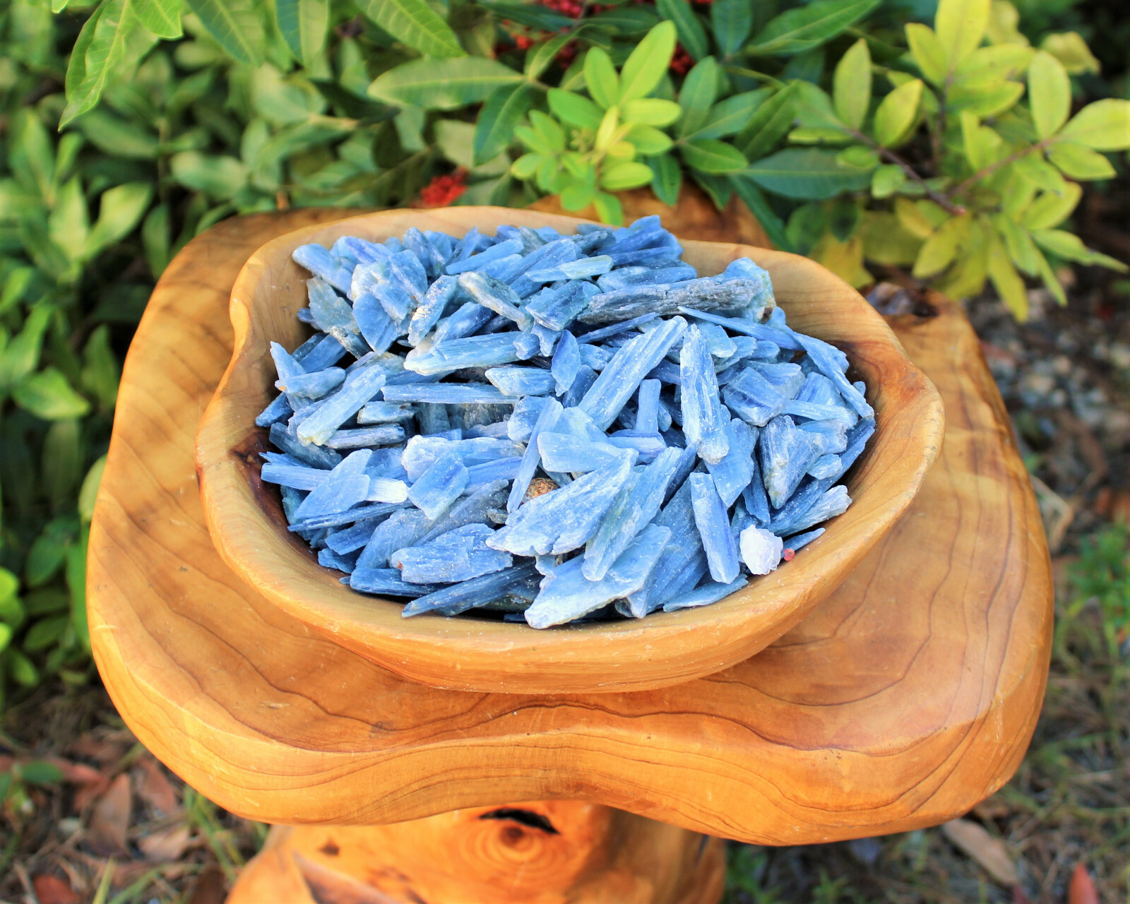 Lot of 3 Blue Kyanite Blades 1″ – 1.5″ (Crystal Rough Natural)