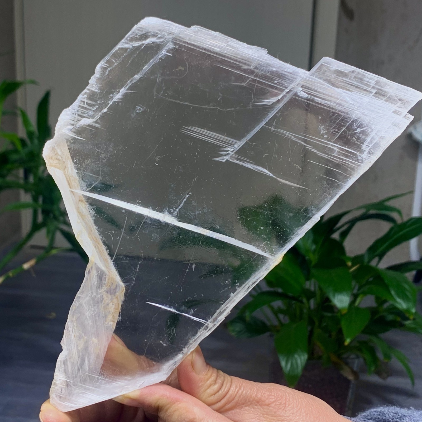 494G Natural selenite gypsum quartz crystal slab mineral specimen healin