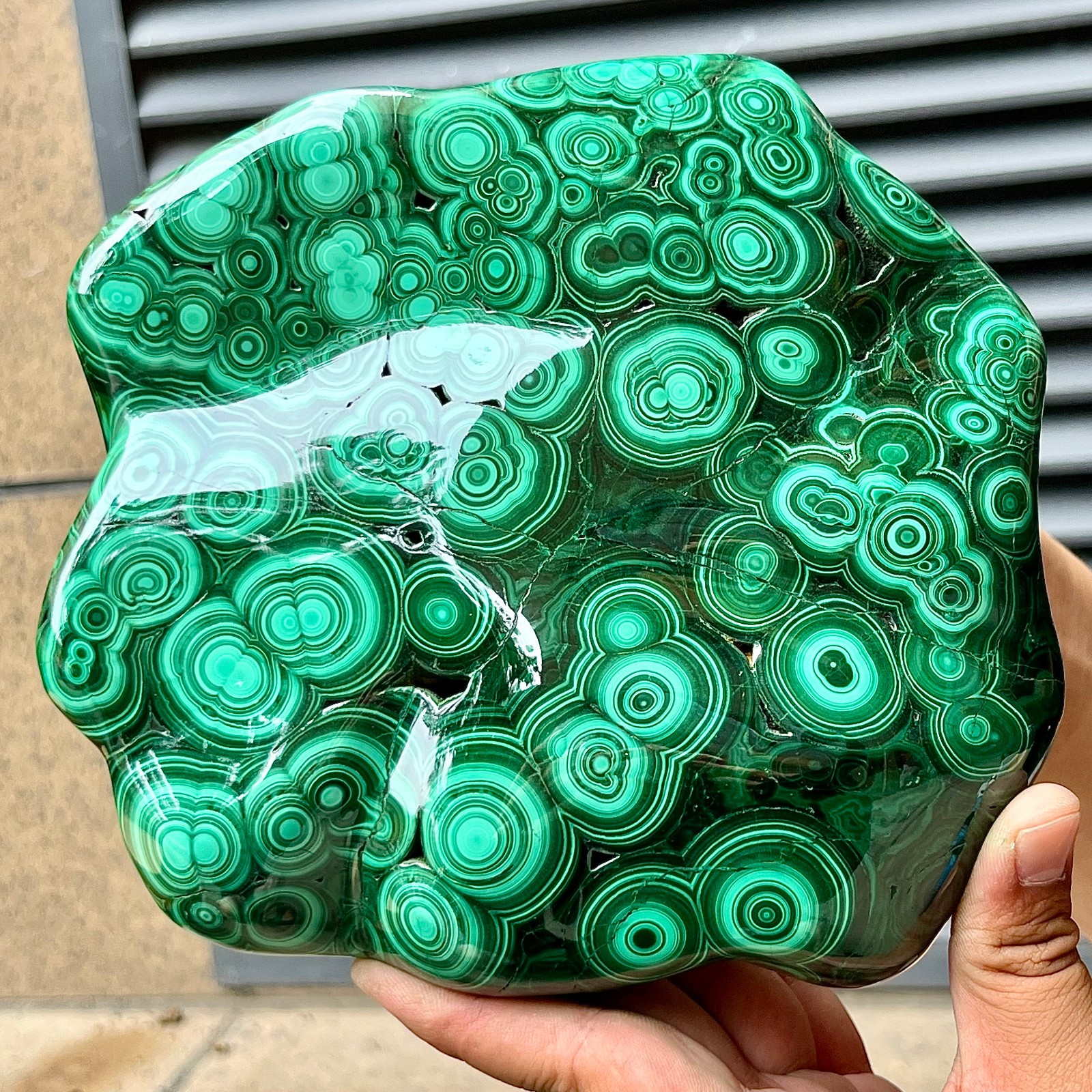 Natural Malachite Stone Polished Slab Bull Eye Pattern Display Decor 7.1 lb