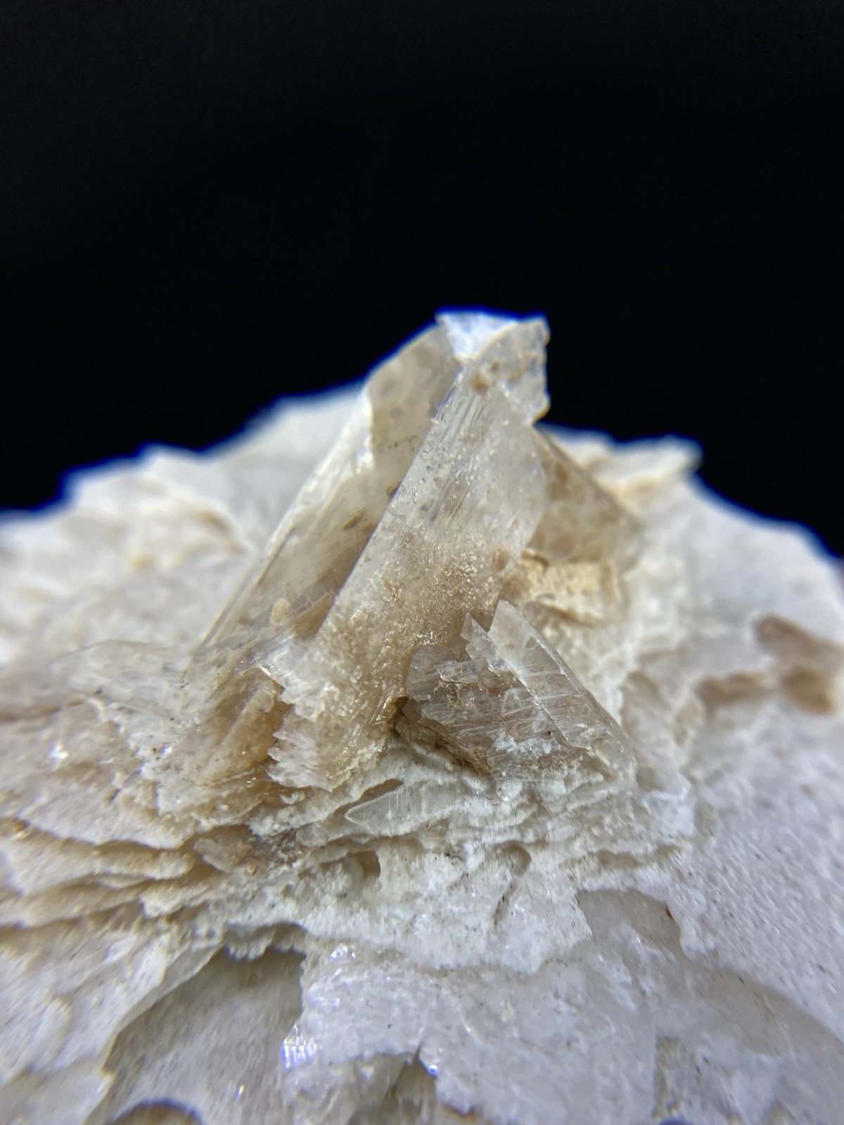Selenite on Gypsum from Chihuahua, Mexico – Free Shipping