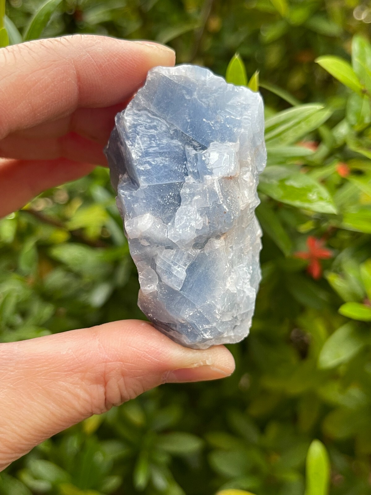 Grade A+ Large Blue Calcite Rough Natural, 2-3″ Blue Calcite, Wholesale Bulk Lot