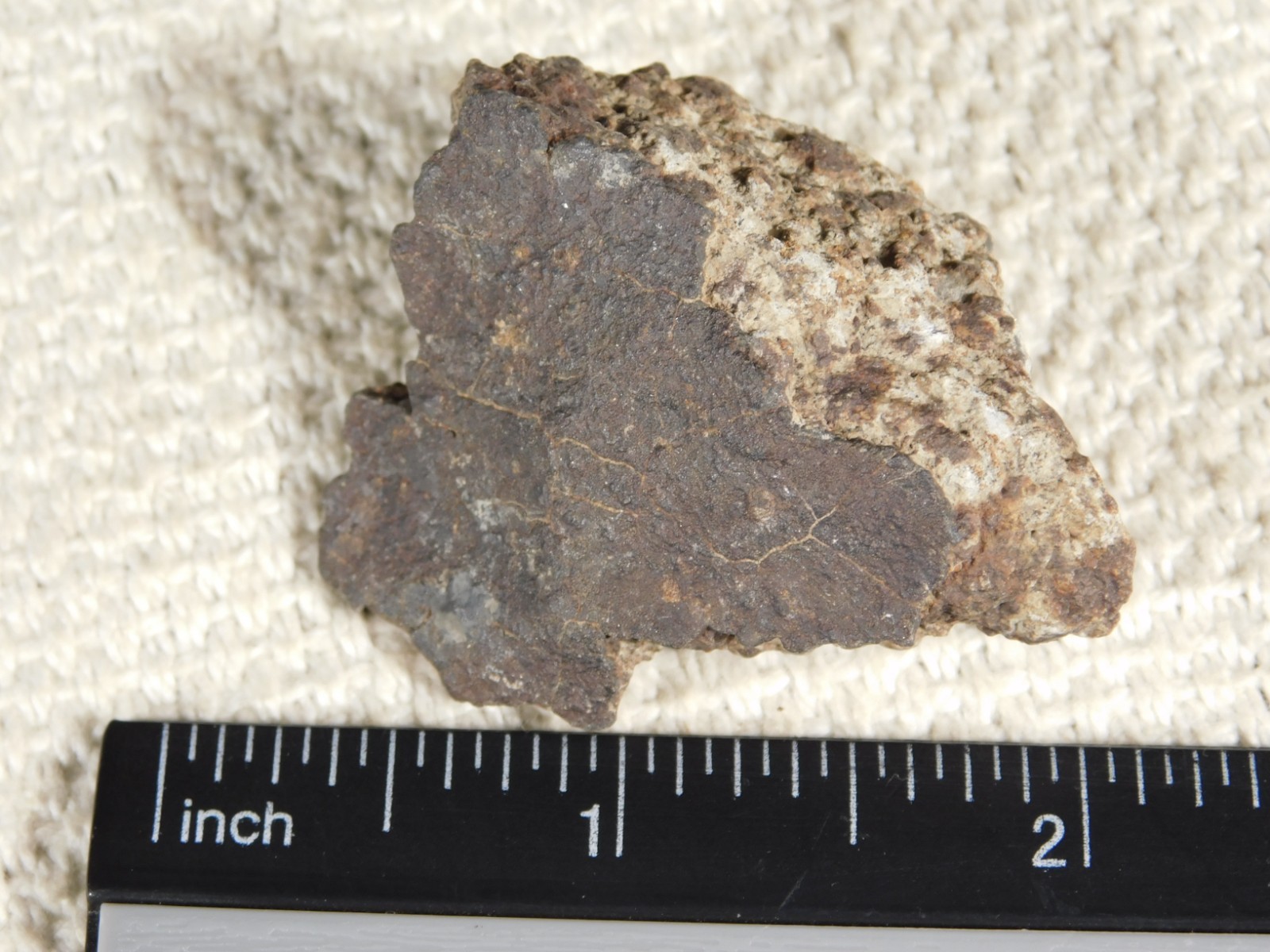 Classified NWA 8245 METEORITE 100% Natural FELL on Erfoud, Morocco 47.3gr
