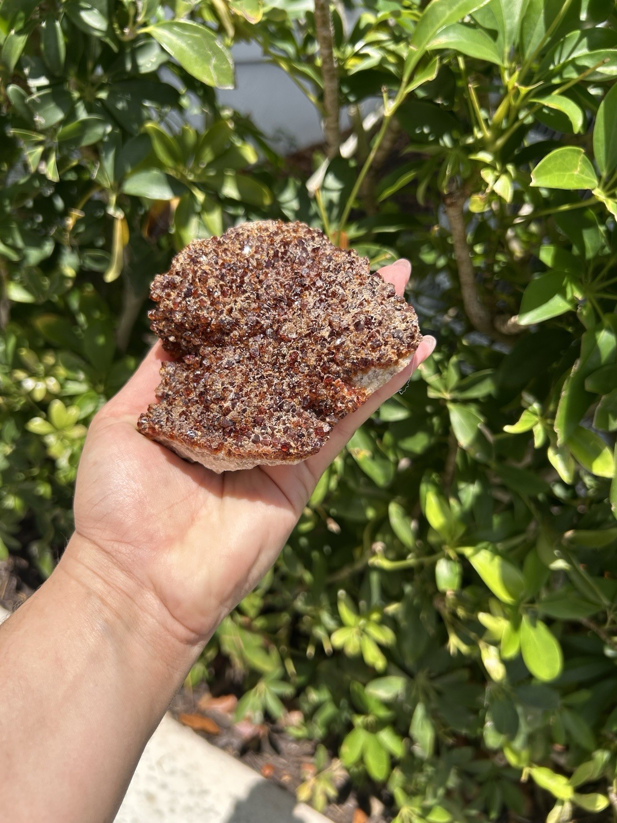 Natural Citrine Crystal Cluster – Sparkling Druzy Honey Quartz Specimen