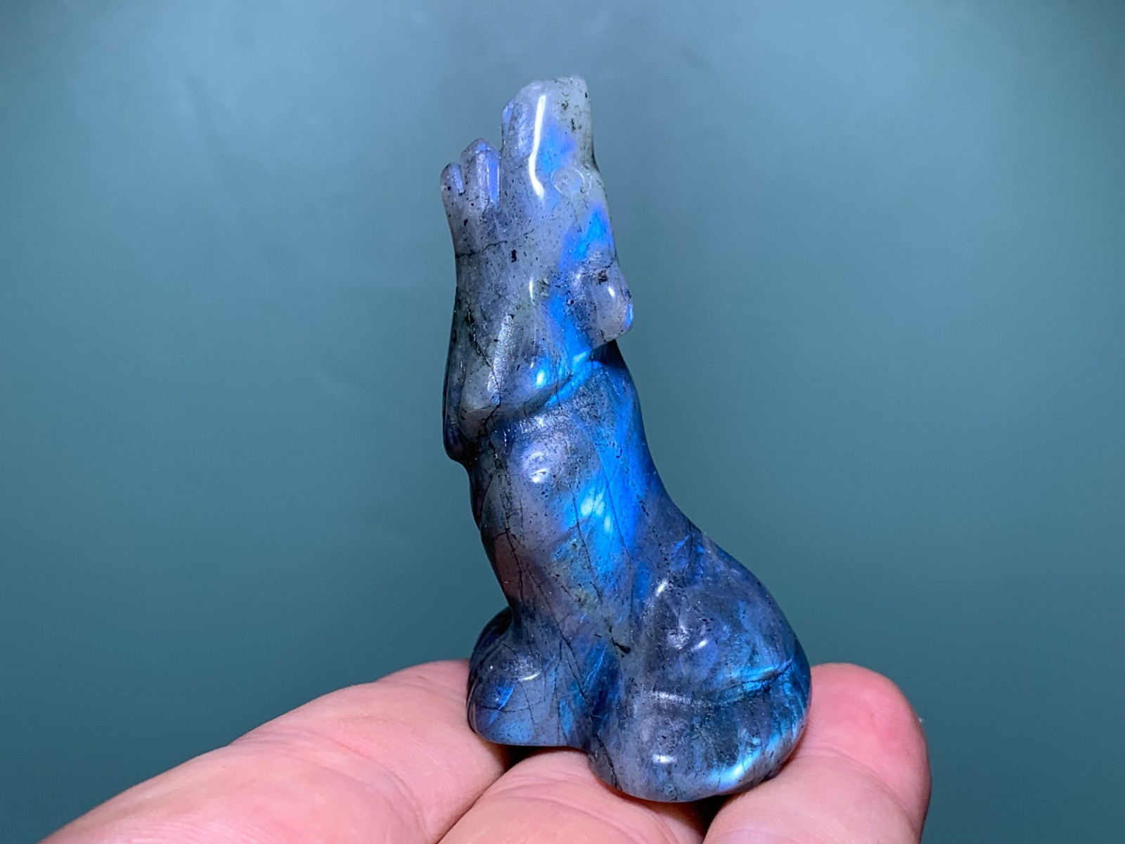 2.2”+ Natural Labradorite quartz crystal hand carved Crystal wolf skull 1pc