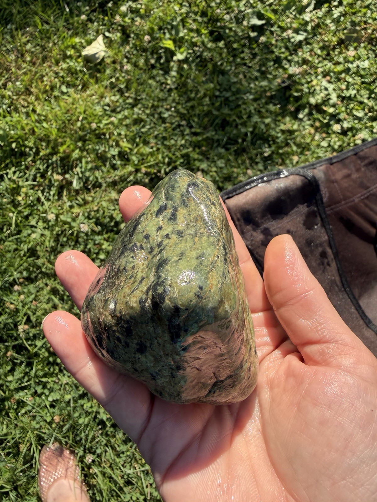 Natural Green Stone with Black Inclusions & Iron Veins |13.7 oz Display Specimen